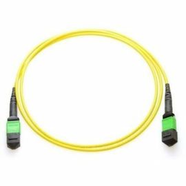 Axiom MPO Male to MPO Male Singlemode 9/125 Fiber Cable 3m - TAA Compliant